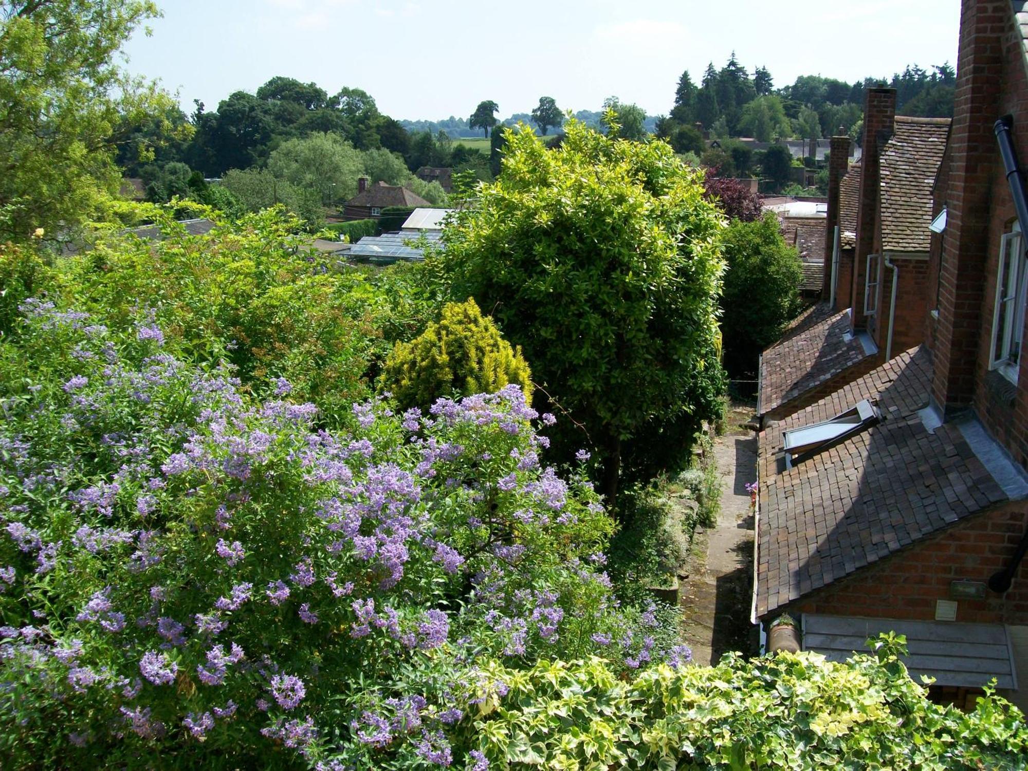 Frog Cottage, Ludlow - A Charming Townhouse For 4 Exterior photo